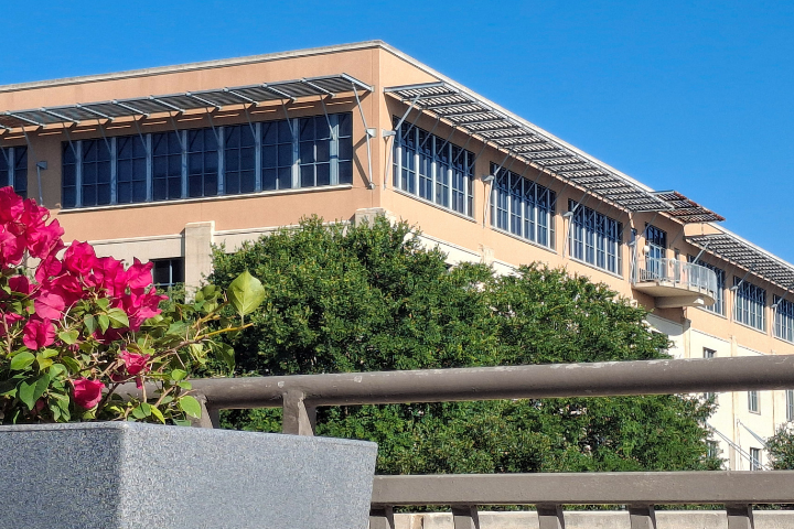 Planter with flowers and Business Building in Background.