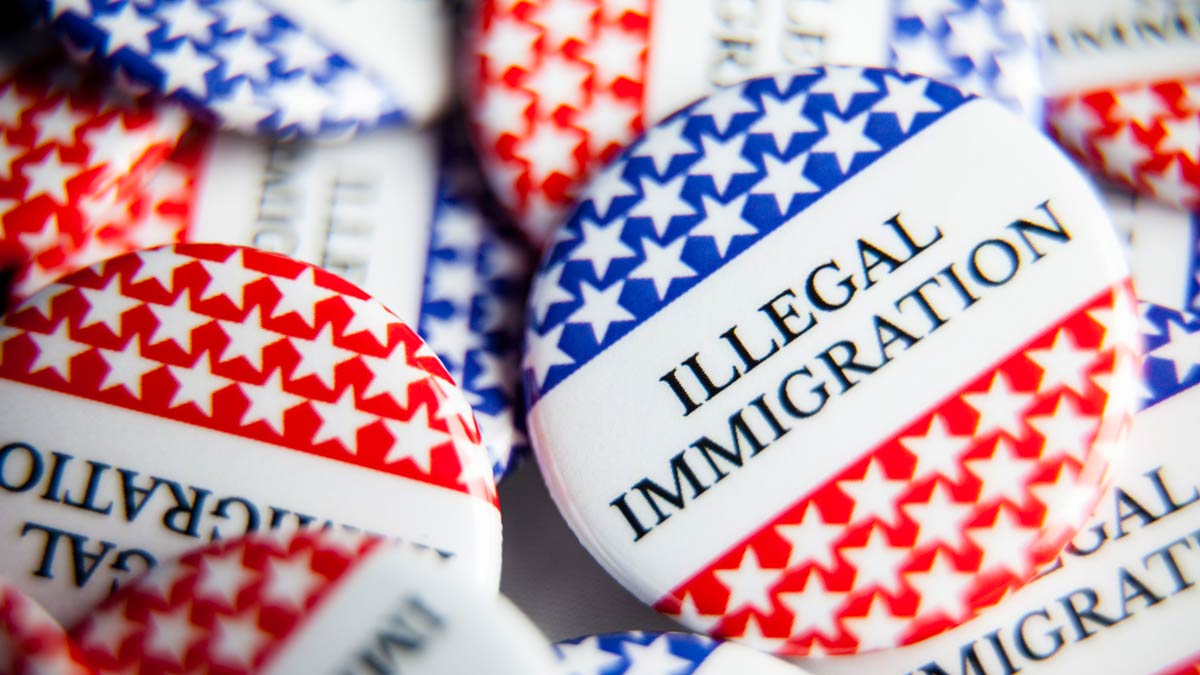 Illegal Immigration button