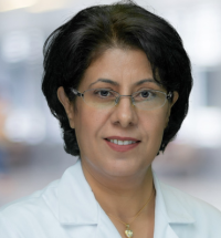 Azizeh Sowan